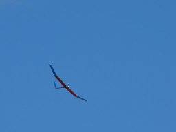2005 Aug FunFly